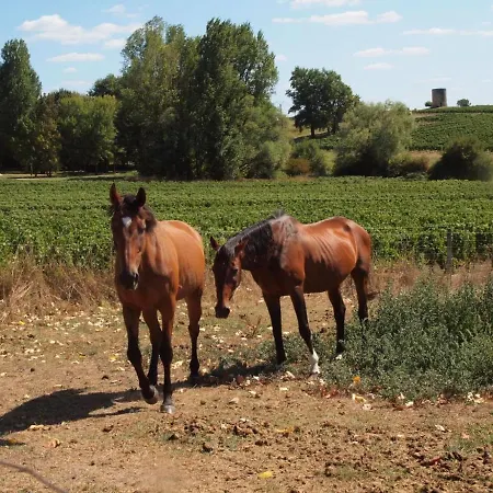 Vakantiehuis Saint-savin, 4 Pieces, 6 Personnes - Fr-1-440-132 Saint-Savin (Gironde)